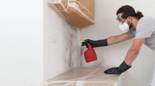 Professional Bathroom Mold Removal technician working in Nottingham, PA