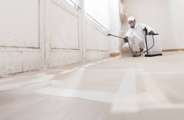 24/7 Emergency Bathroom Mold Removal experts in Nottingham, PA