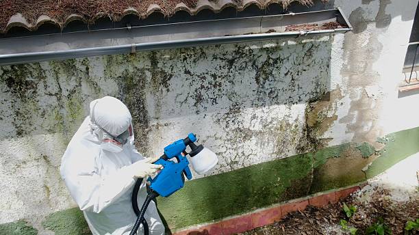 Top rated local Bathroom Mold Removal specialists in Nottingham, PA
